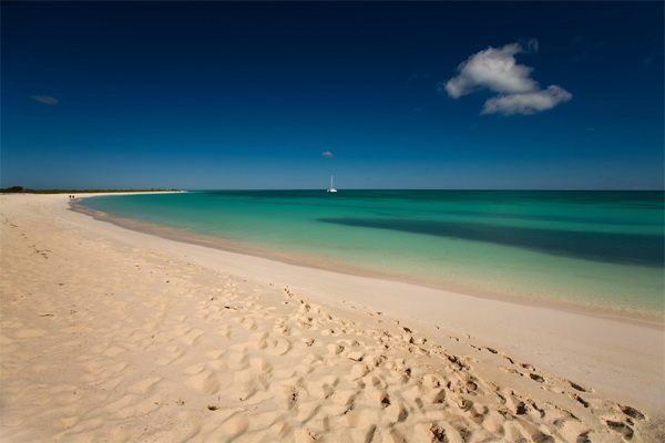 Loblolly Beach Anegada BVI