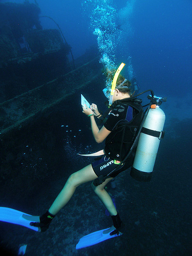 Research Dive - Quadrate or Transect?